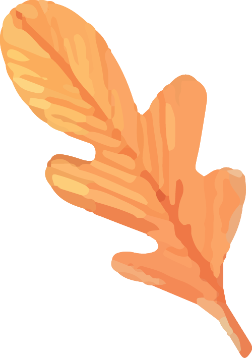 海上花岛活动现场