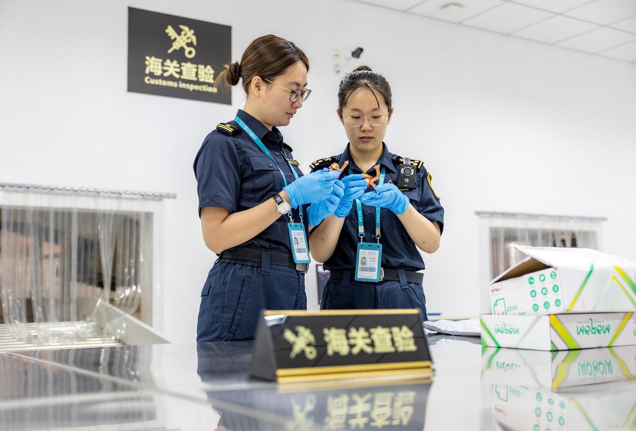 国考报名遇冷：山东海关25个岗位无人问津，背后原因解析