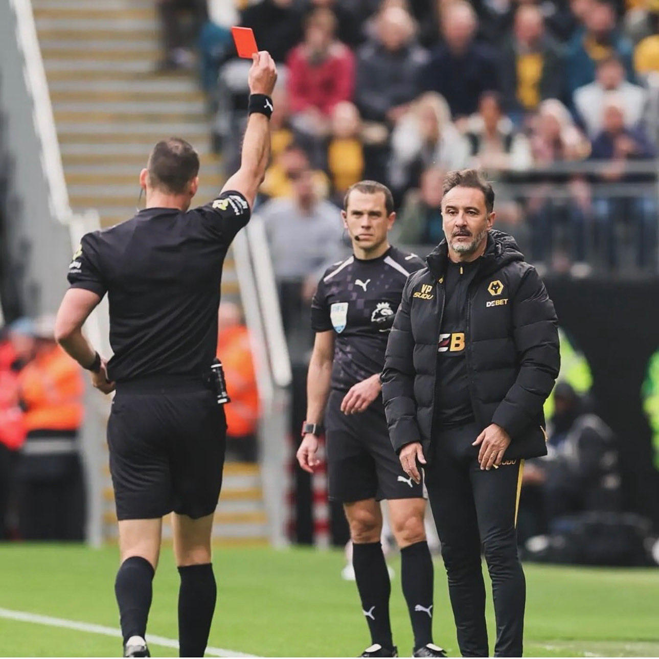 英足总处罚：狼队主帅佩雷拉因赛场不当行为被罚1.5万英镑