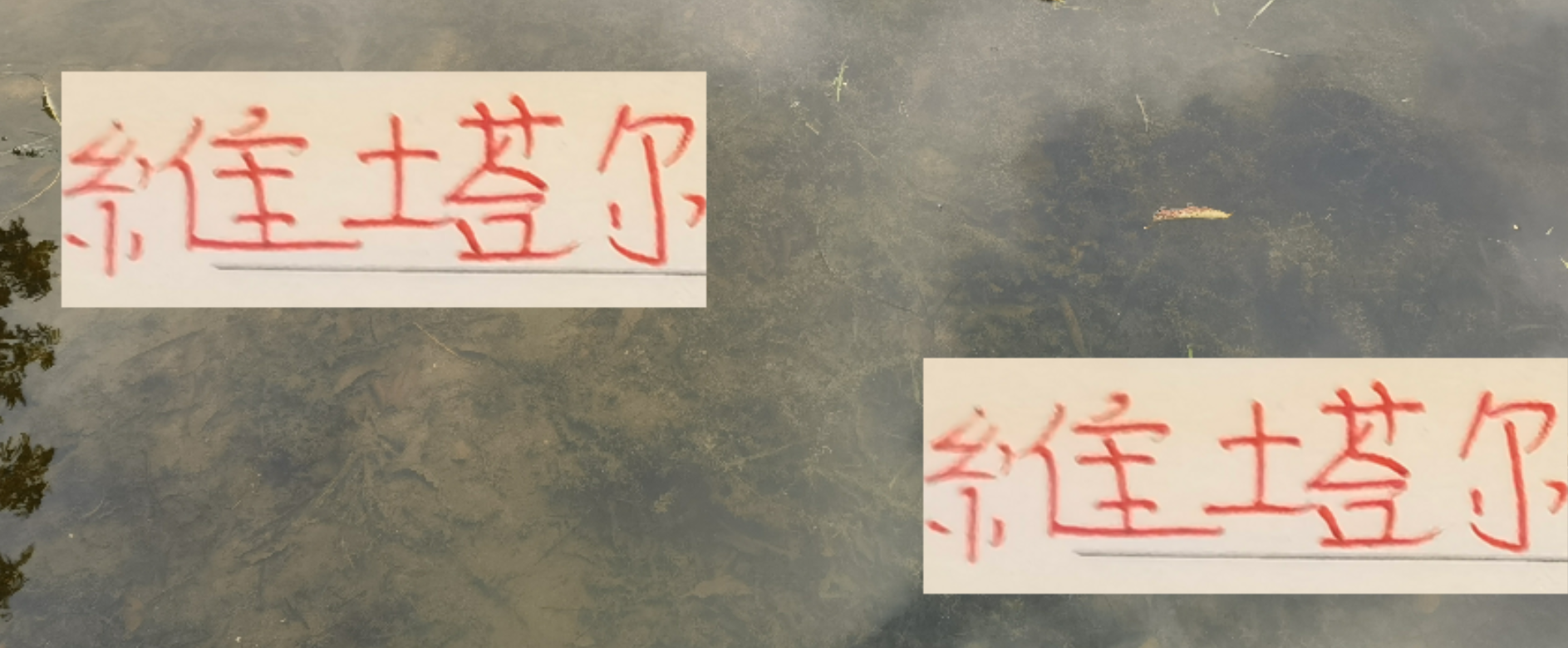 海港新星维塔尔崛起！中超助攻榜第二，奥斯卡后继有人