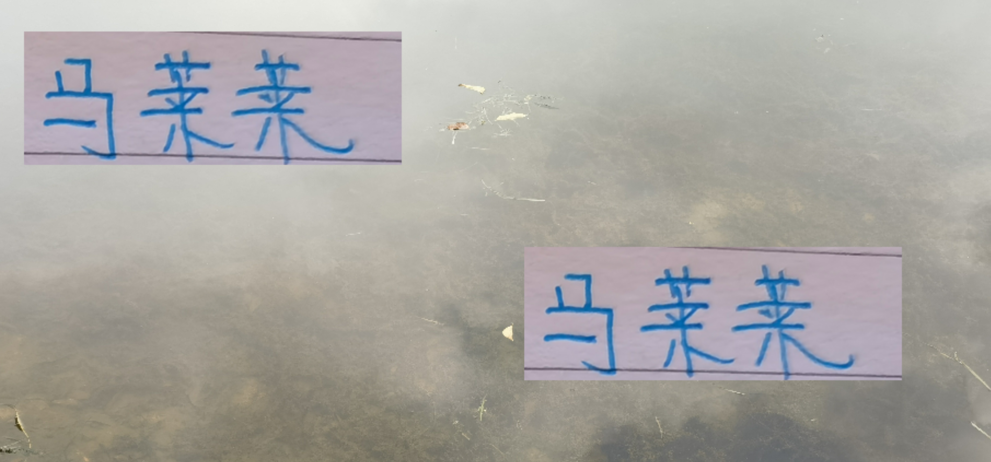 马莱莱离队双输局面：申花战术依赖俄籍教练能否破局？