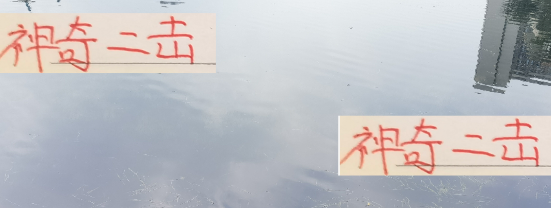 中超奇景：海港申花前15轮领跑，后半程为何集体掉链子？