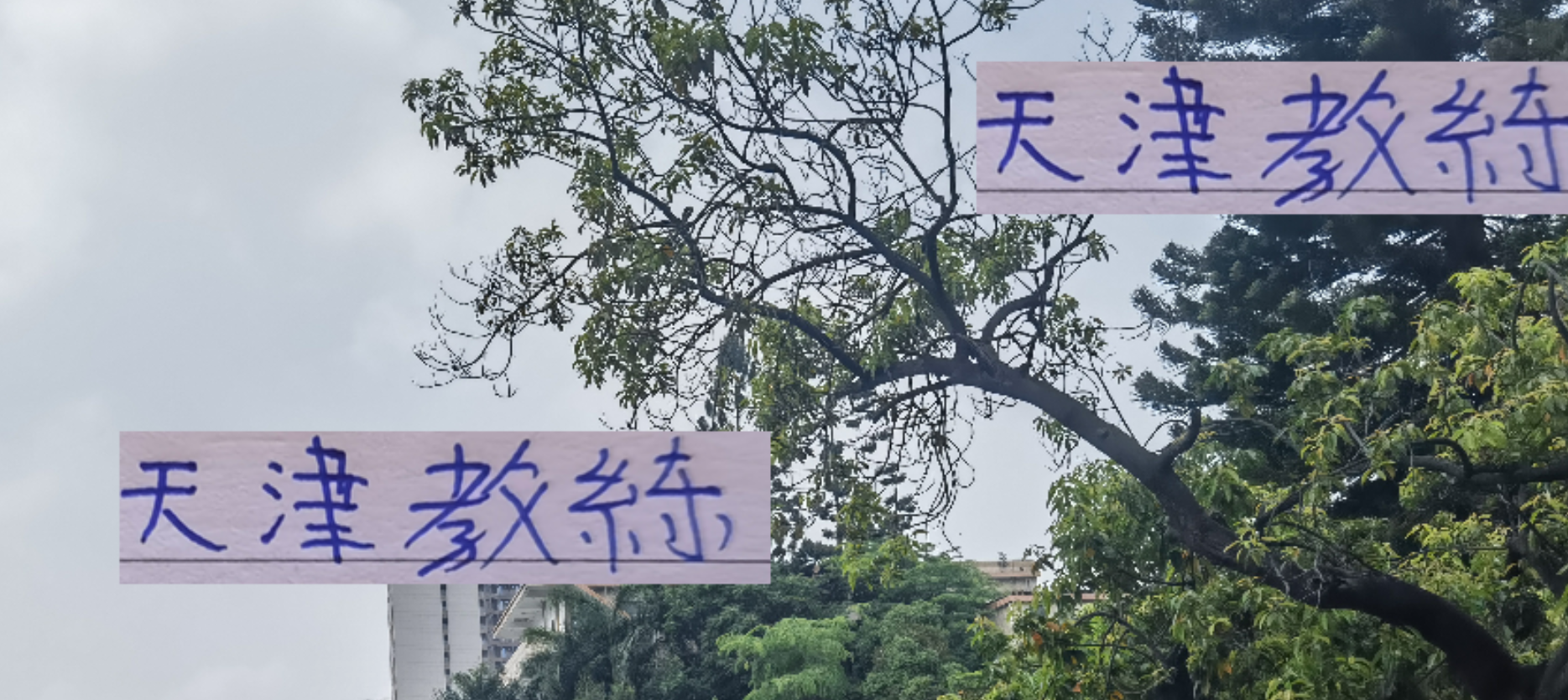 中超28轮后天津教练表态：最后一战全力迎战申花