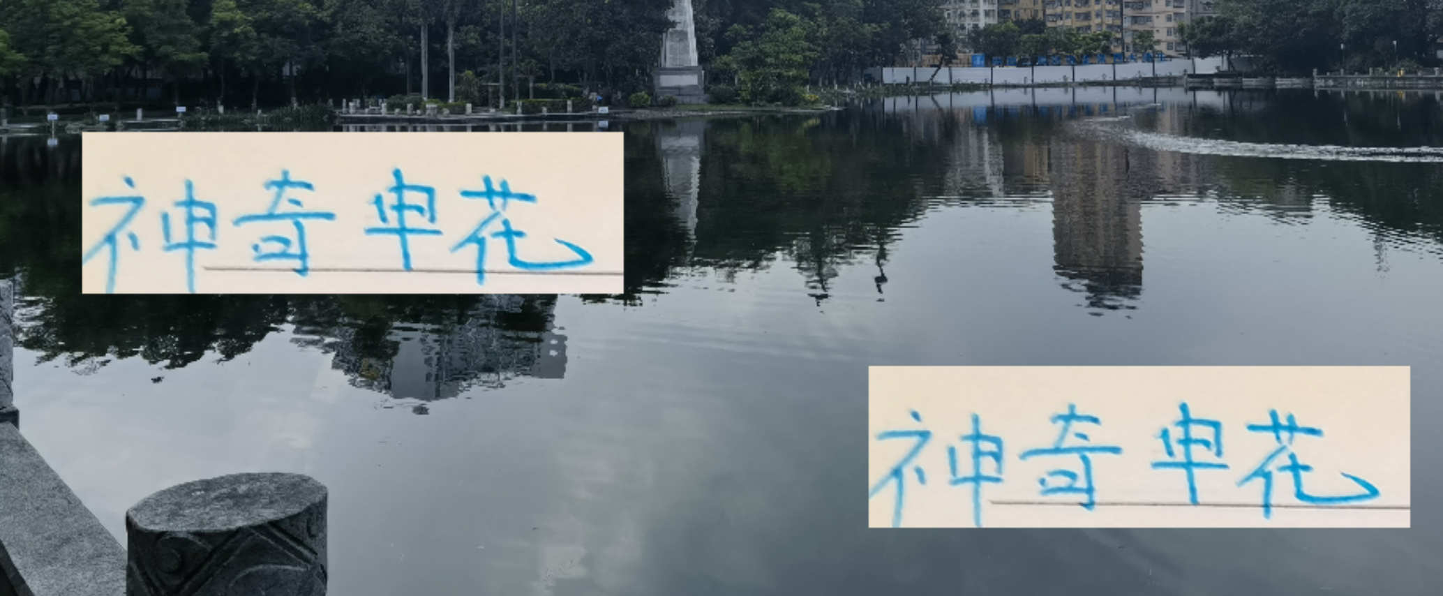 申花神奇表现：无球员进球上双，进攻效率却紧追海港