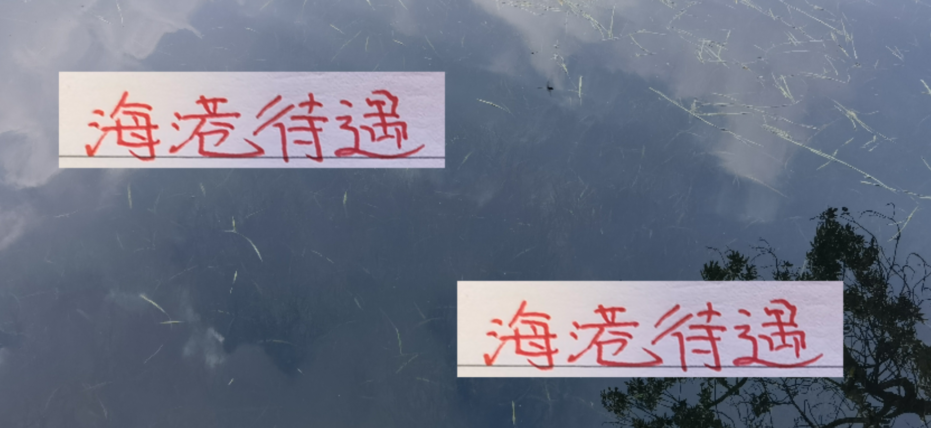 2025中超第28轮：上海海港迎高规格待遇，央视直播+洋裁判执法引关注