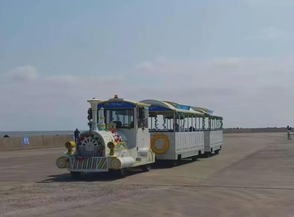 江苏南通黄金海滩景区小火车坠海事故致多人伤亡，官方回应