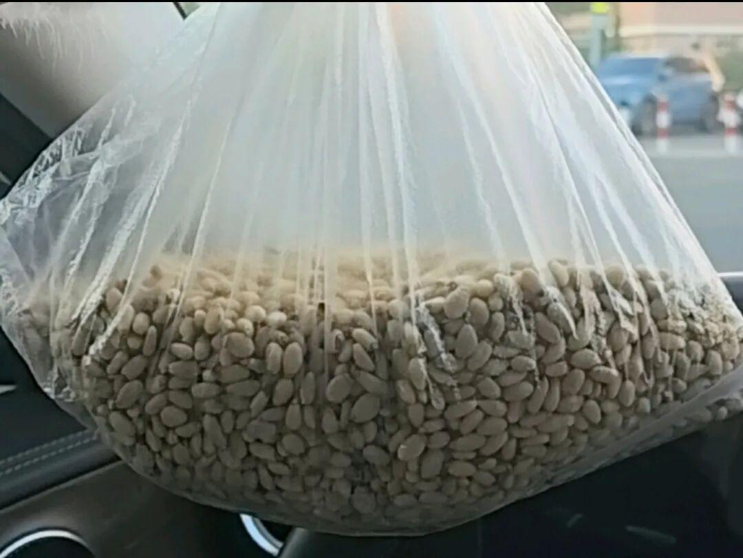 大连女子520元购松子仁疑遭骗局，高价陷阱需警惕