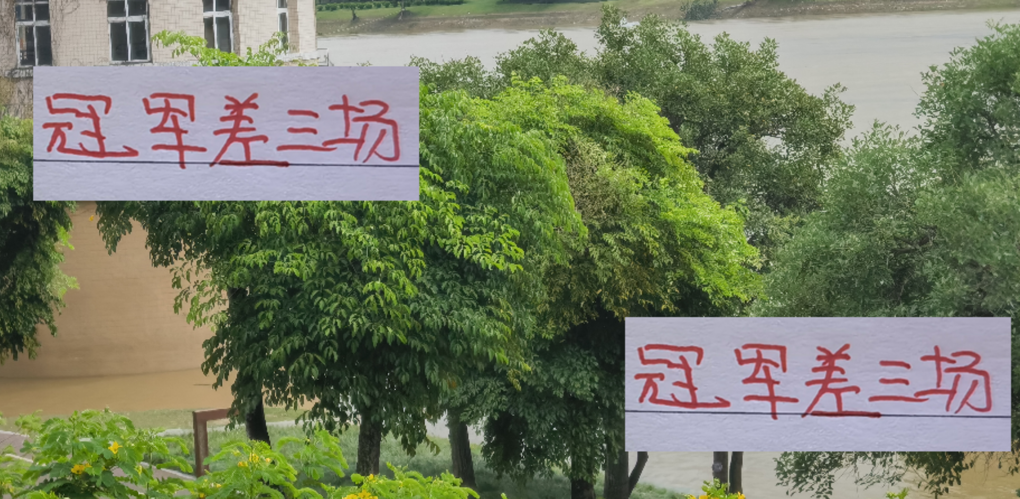 成都蓉城亚冠留力，全力冲刺中超三连胜冲冠！