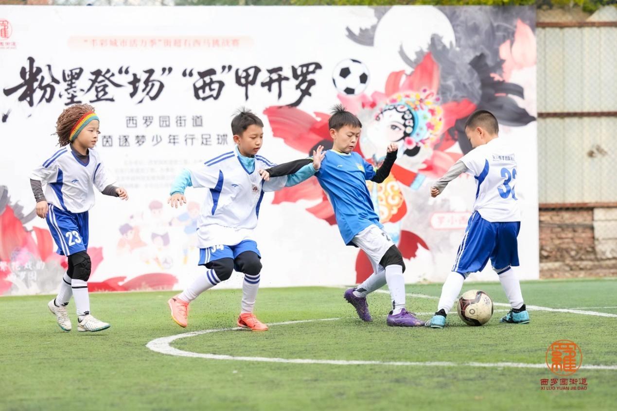 丰台西罗园少儿足球赛：点燃城市活力，共筑足球梦想