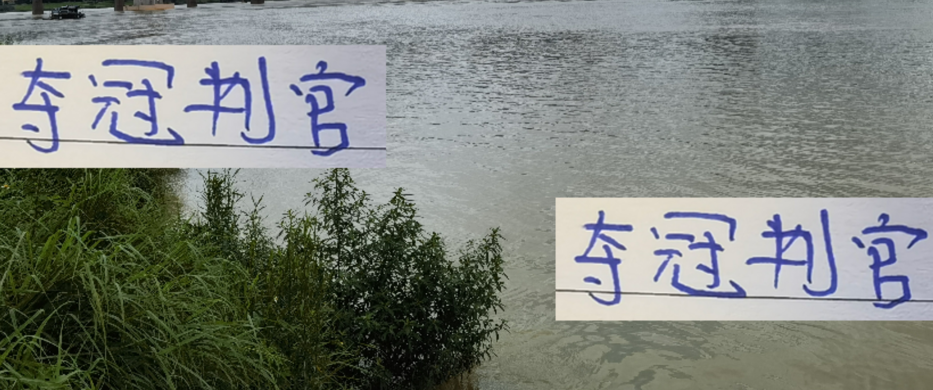 大连英博成中超夺冠关键判官 末三轮对阵海港申花成焦点