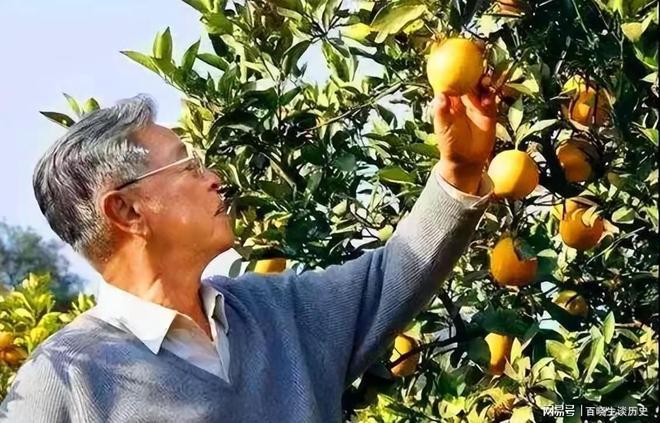 褚时健案始末：从亚洲烟王到阶下囚的跌宕人生