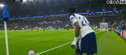 英超热刺2-0胜埃弗顿：范德芬头球双响，奥布赖恩进球无效