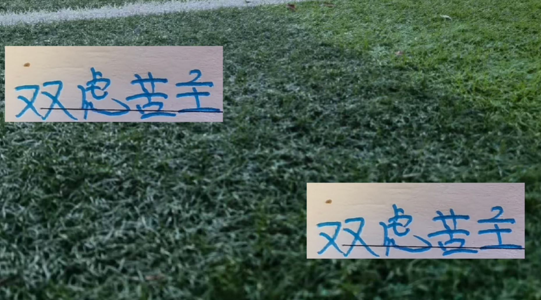 卡扎伊什维利成上海双雄克星！中超赛场大放异彩