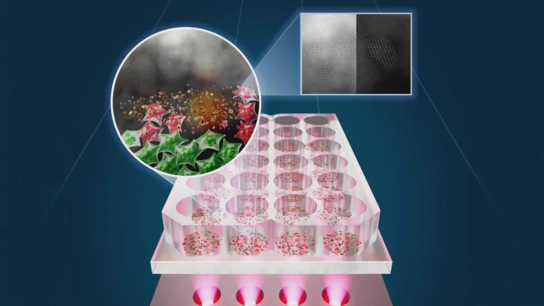 颠覆认知！LED光疗新突破：精准杀灭癌细胞不伤健康组织