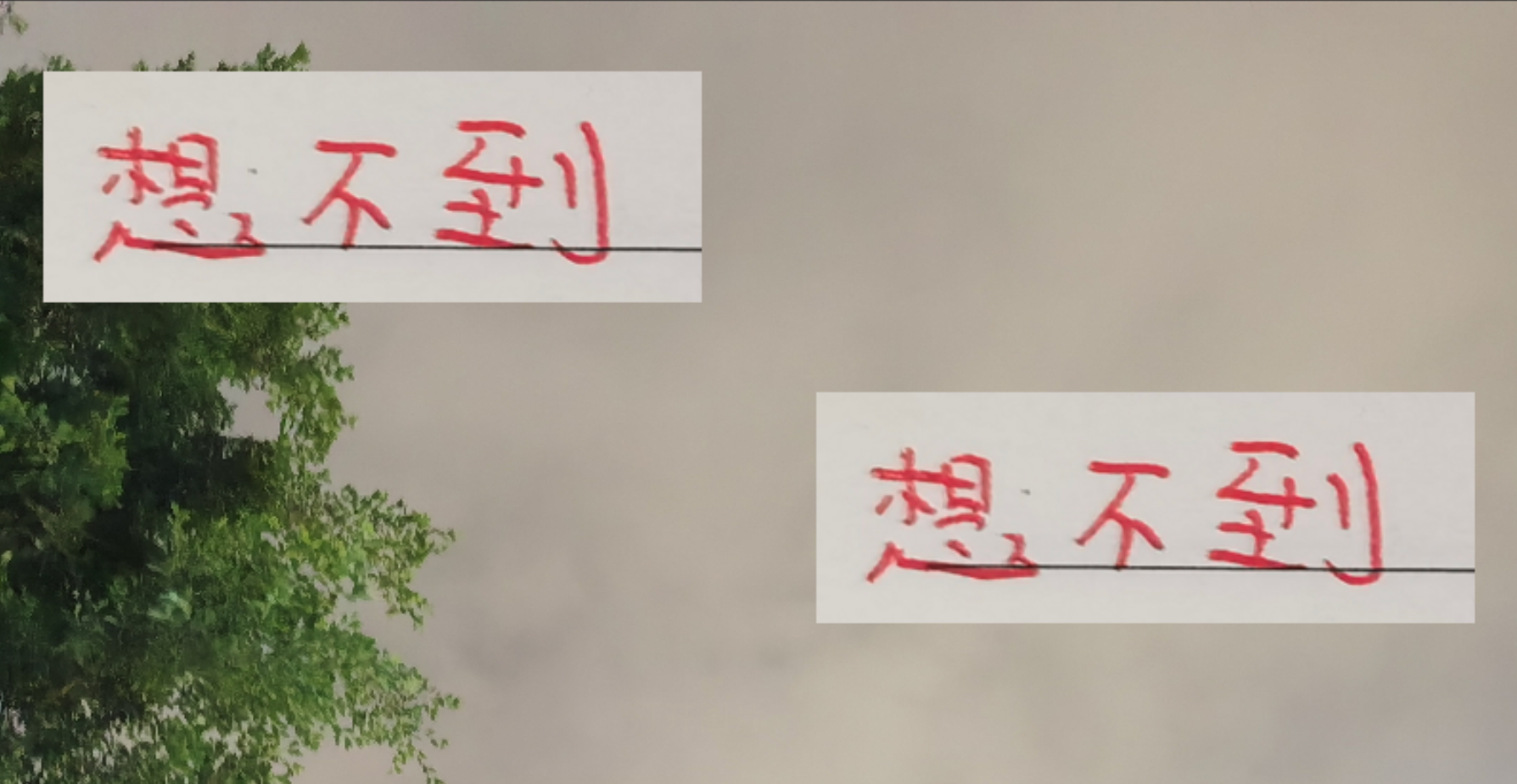 中超第28轮：海港与山东泰山引爆全场，观众人数创纪录