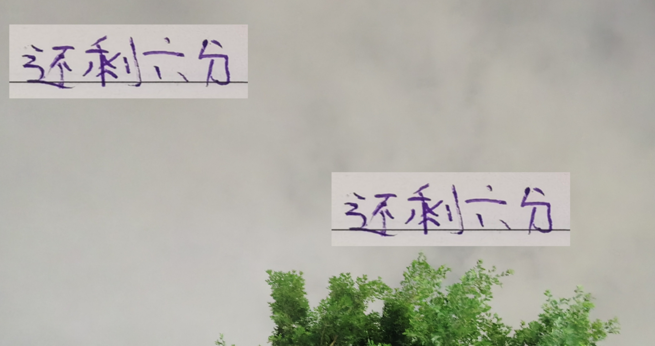 中超最后2轮：海港、申花、成都谁能全取6分夺魁？