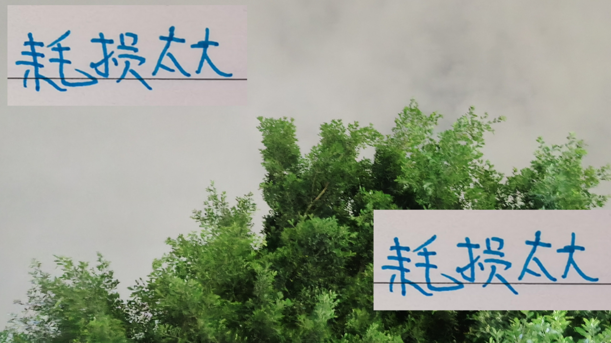 亚冠赛程致申花双子星状态下滑，双赛考验球队深度