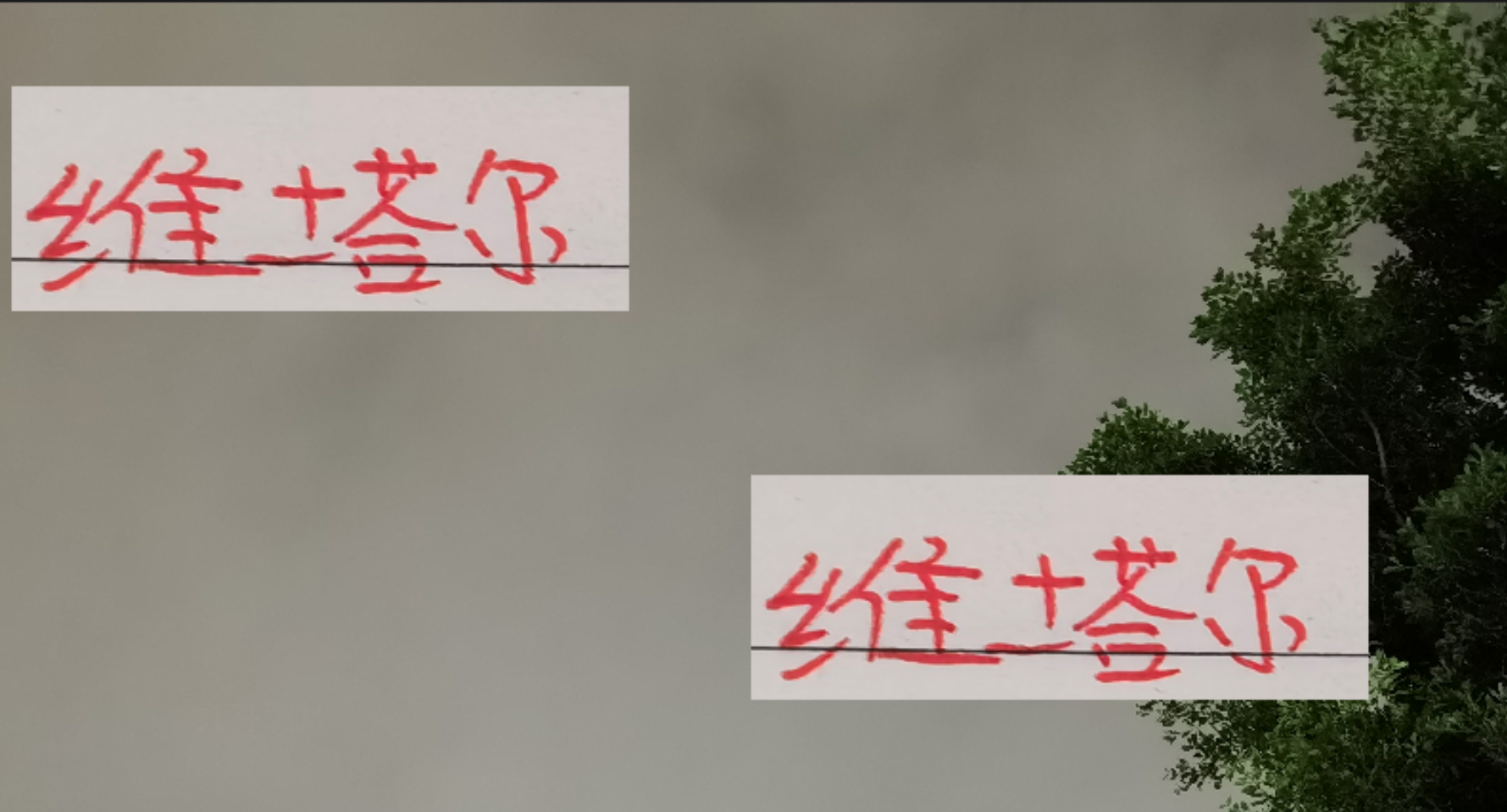 海港核心维塔尔：全勤首发28场，实力与耐力并存