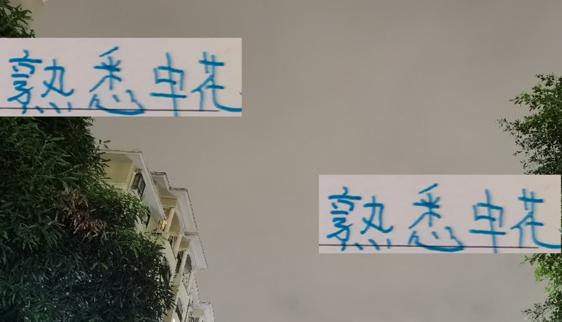 申花中超28轮战平大连：蒋圣龙缺阵影响远超马莱莱