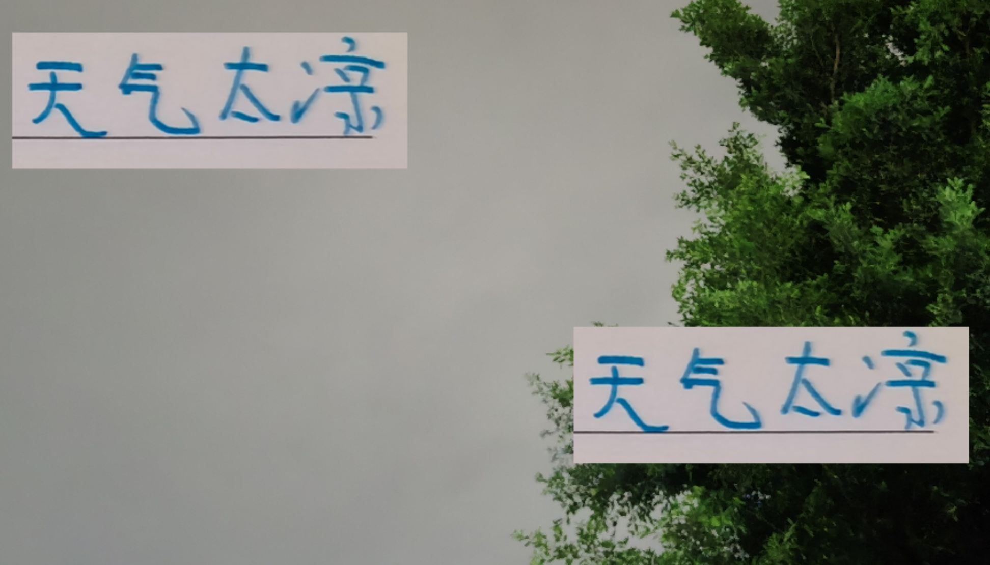 中超第28轮：申花主场2-2战平大连英博，夺冠形势堪忧