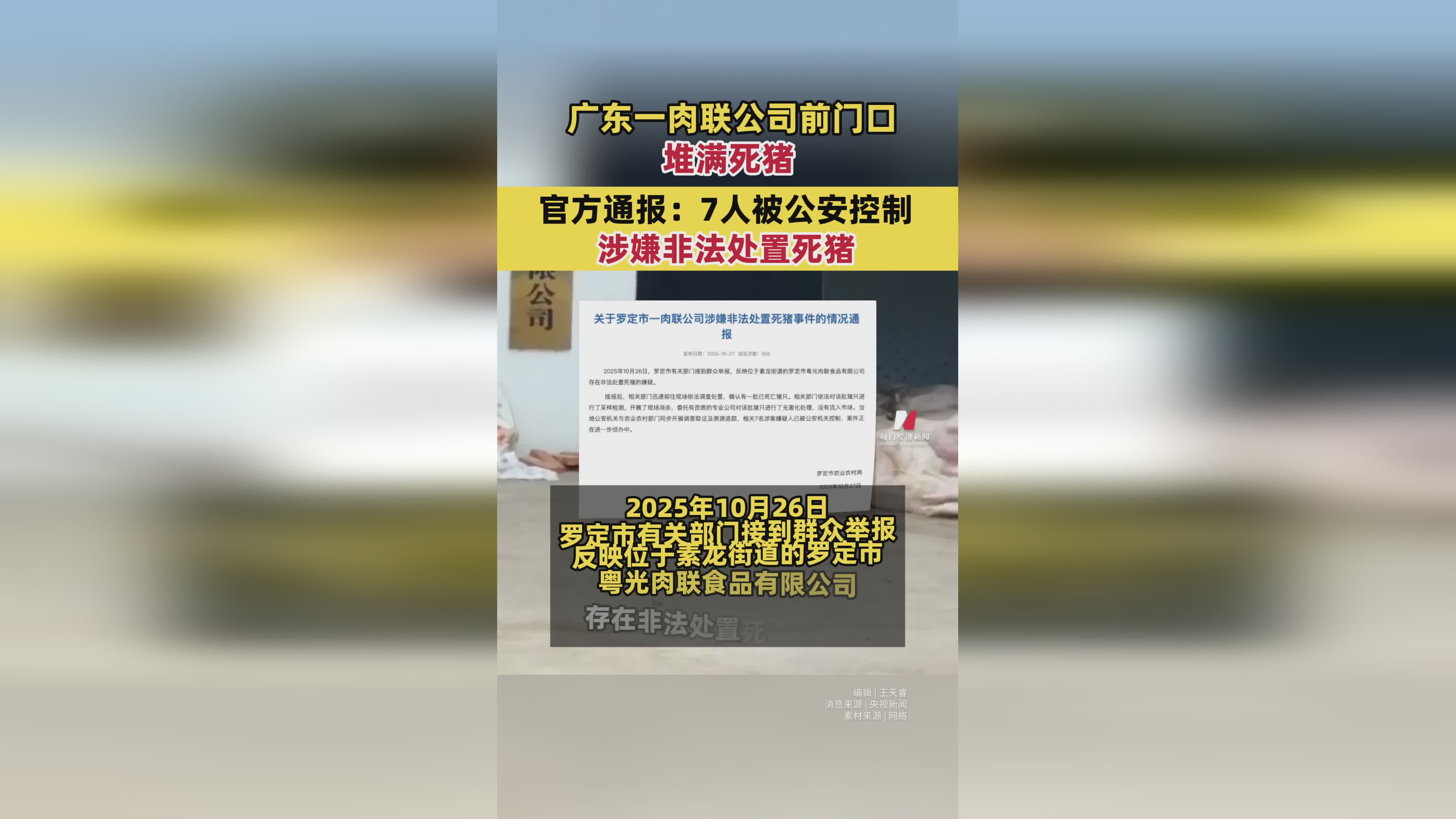 广东肉联公司门口现死猪堆积 7人被控制 涉嫌非法处置