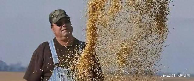 阿根廷大豆出口政策突变：中国船队转向，人民币成关键支撑