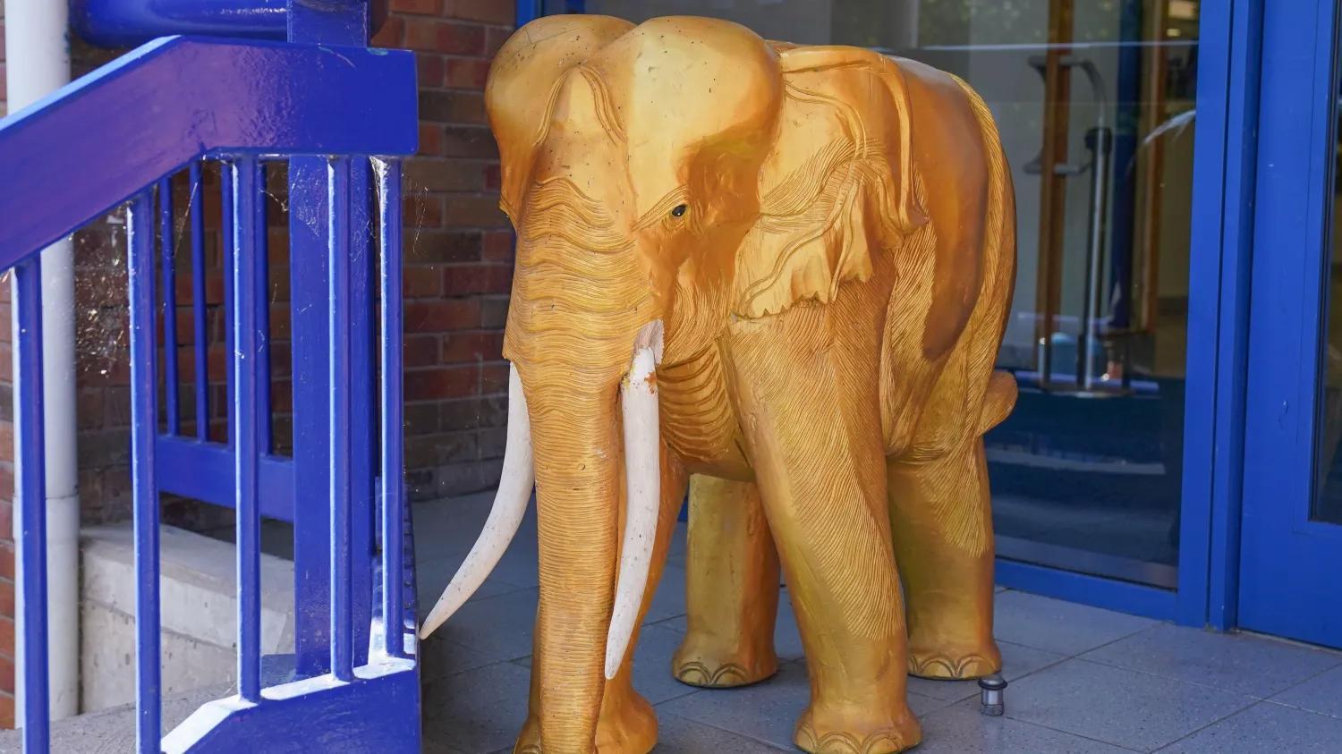 泰晤士报：谢周三拟拍卖球场金象雕像筹集资金