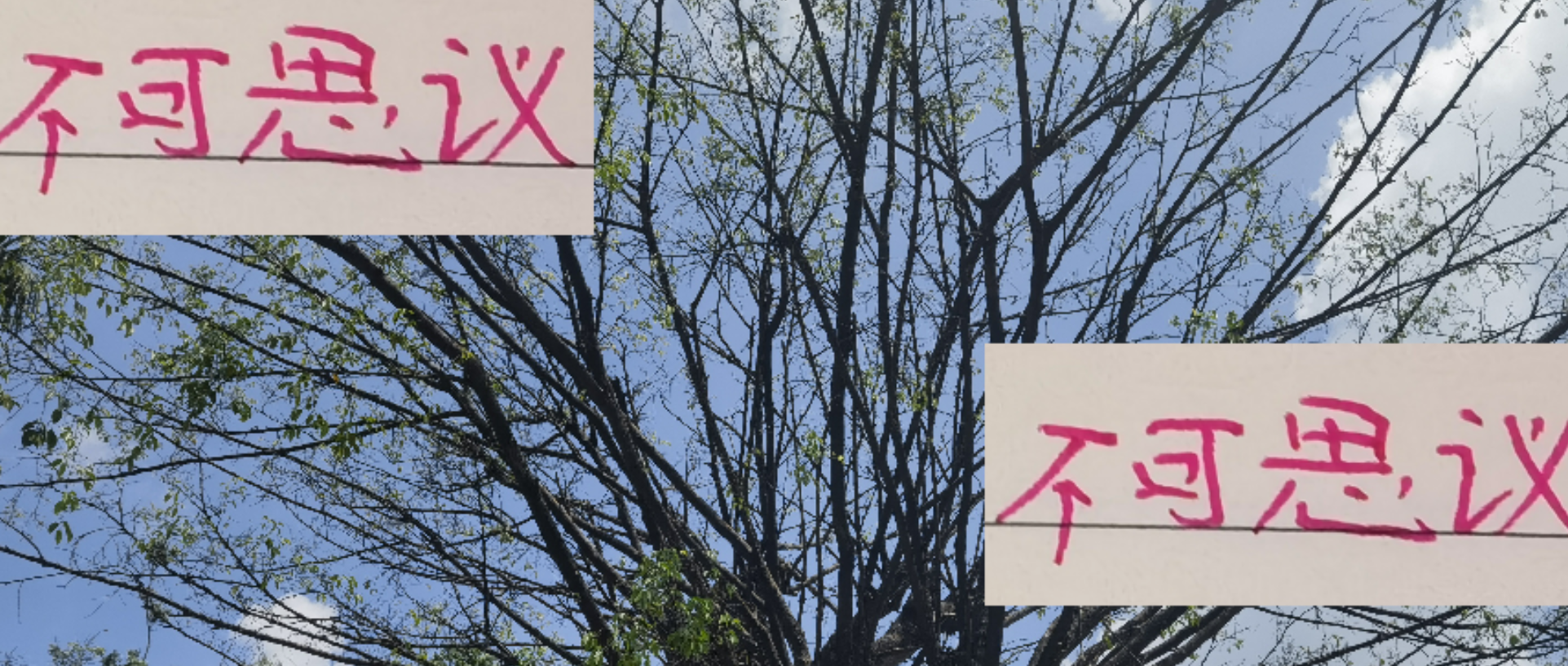 中超本赛季引援大起底：海港、申花外援表现引热议