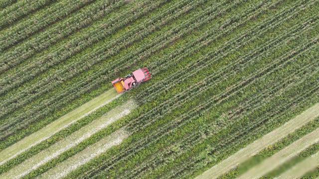 国家新设农田工程监管部门，山东耕地保卫战迎转机？