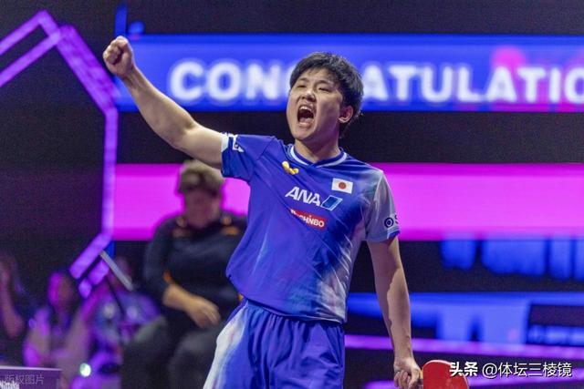 张本智和再遭败绩：球迷热议其意外失利与心态问题
