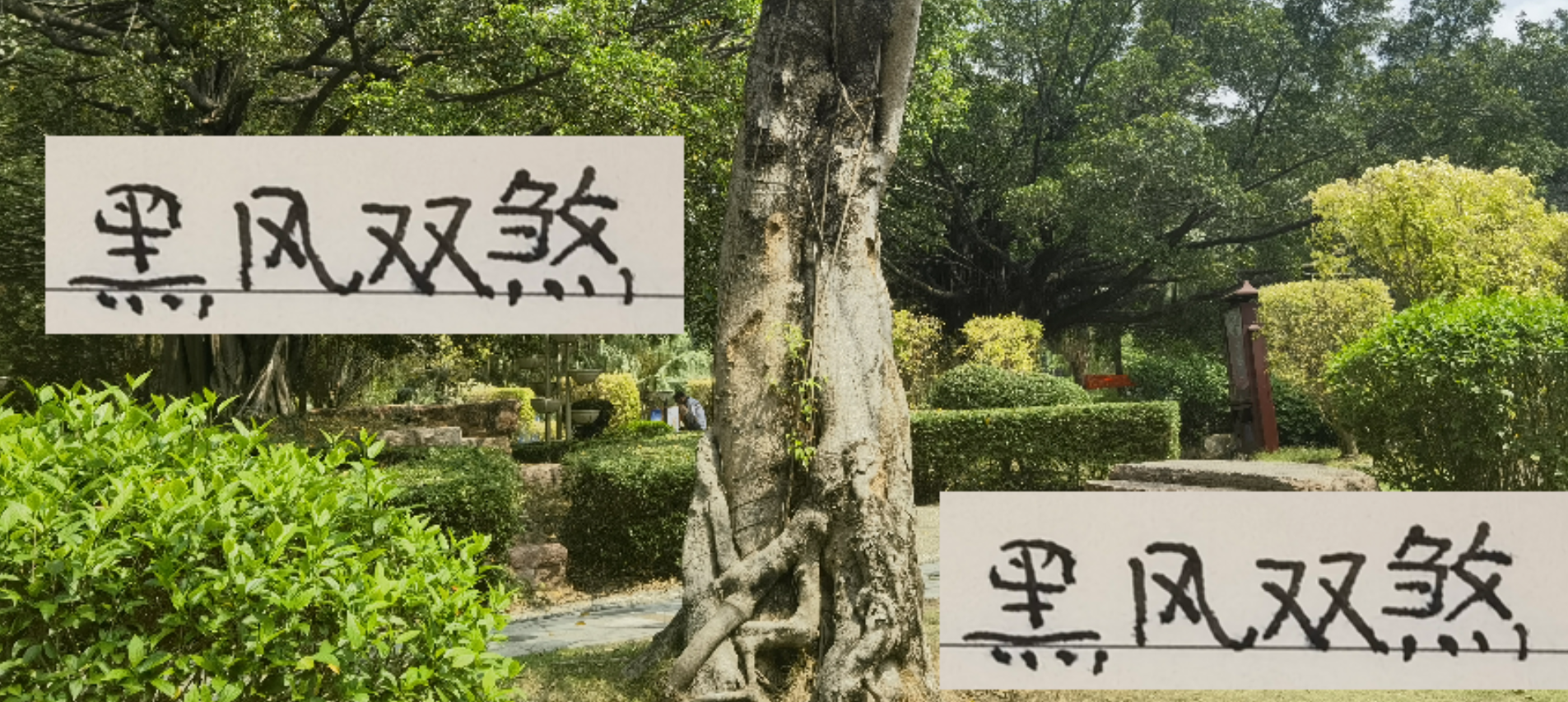 申花锋线大换血！黑白双煞难堪大任，黑黑组合或成新希望