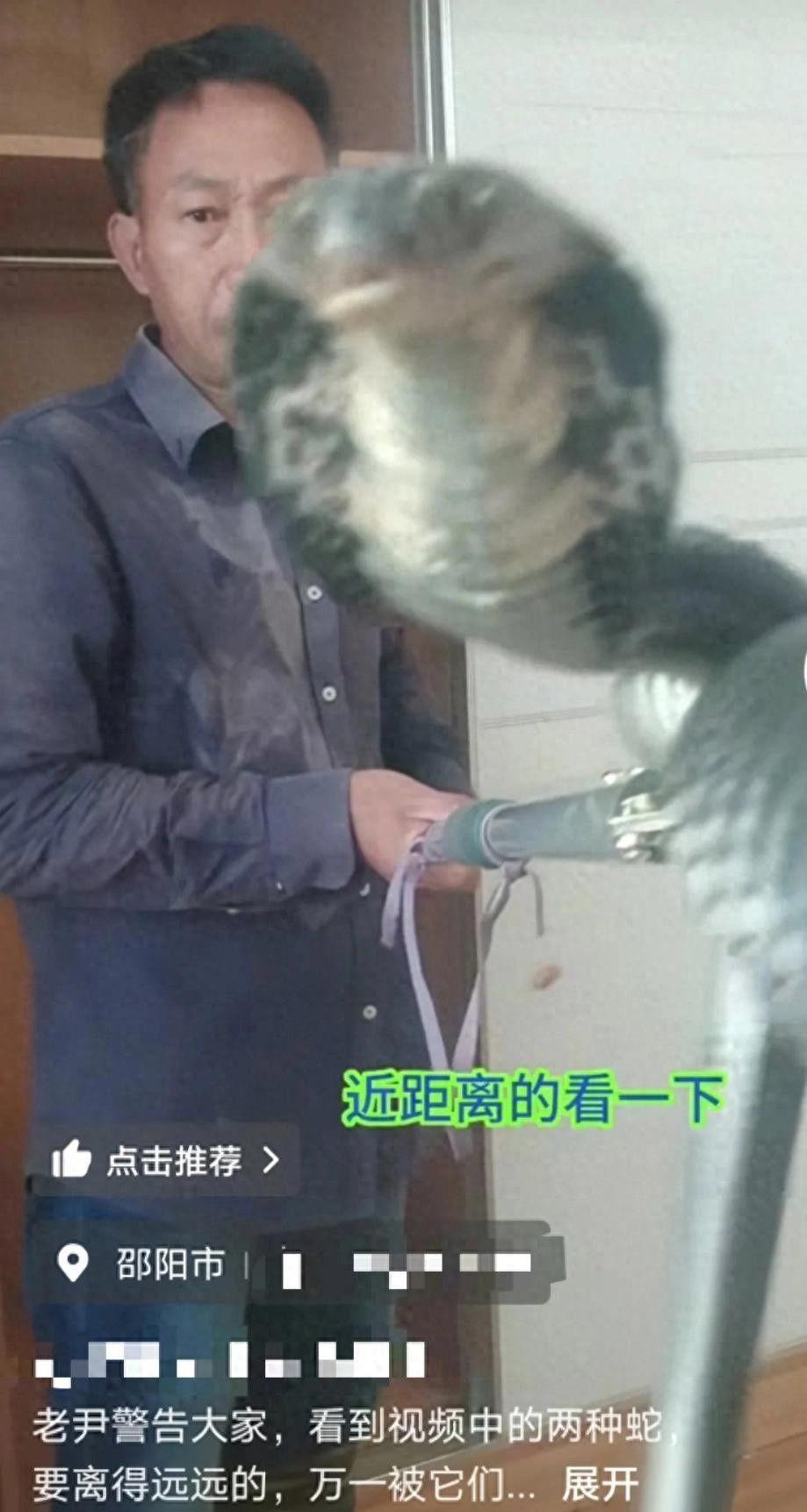 网红抓蛇被咬后失联：墓地已修好，家庭关系复杂引关注