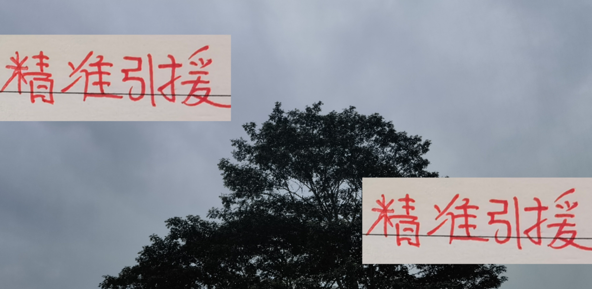 海港引援精准：莱昂纳多成最大亮点，助力球队登顶榜首