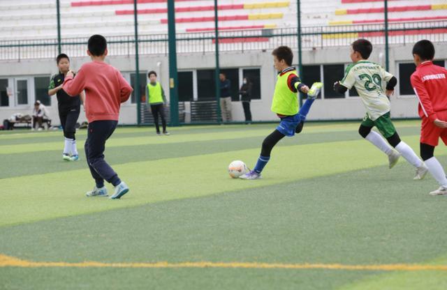 2025朝阳区“望京杯”青少年足球赛圆满收官 推动全民健身新风尚