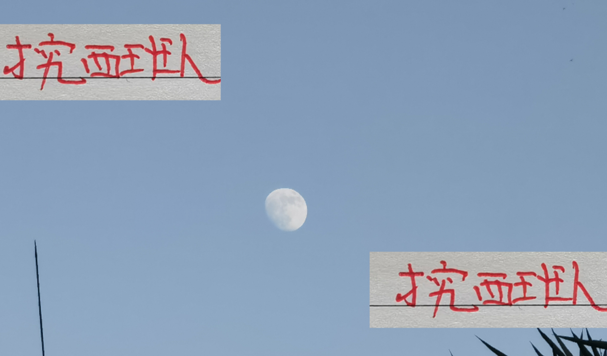 海港再挖西班牙人球员梅伦多，能否续写夺冠传奇？