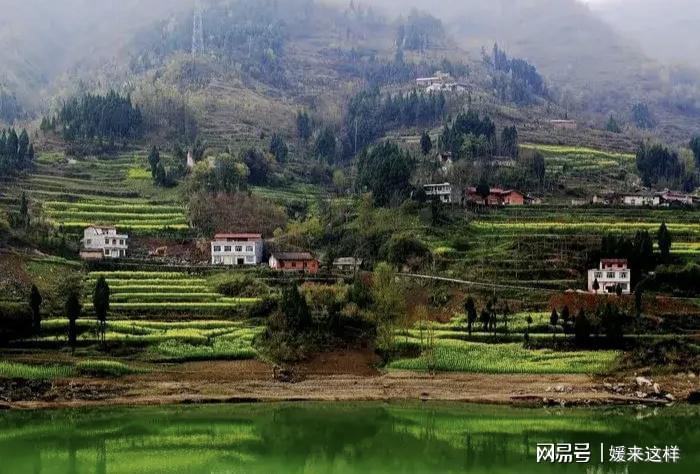 哥离世嫂改嫁，父母拒带侄子，我送侄子随母，多年后侄子归来尽孝