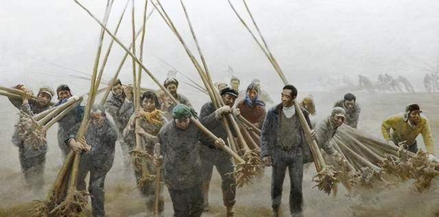 焦裕禄治沙种下的泡桐，如何成就中国30%乐器产业？