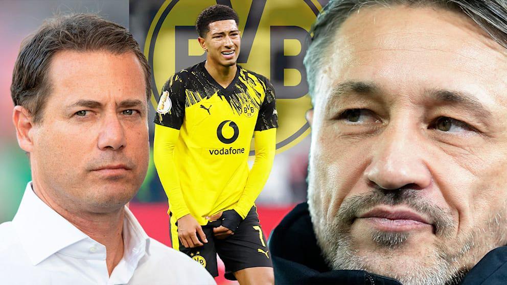 多特高层频密互动助力乔布-贝林厄姆减压成长