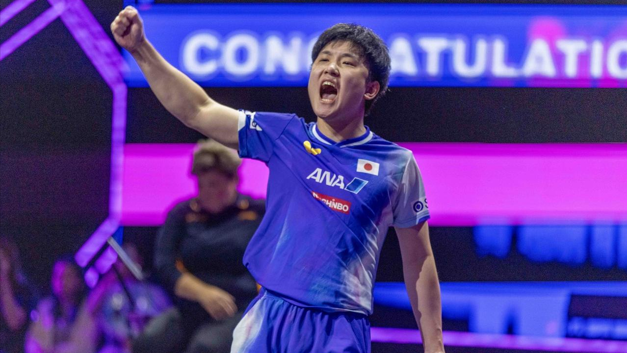 WTT德国冠军赛今日开战！国乒缺席，张本智和、弗朗西斯卡首秀引关注