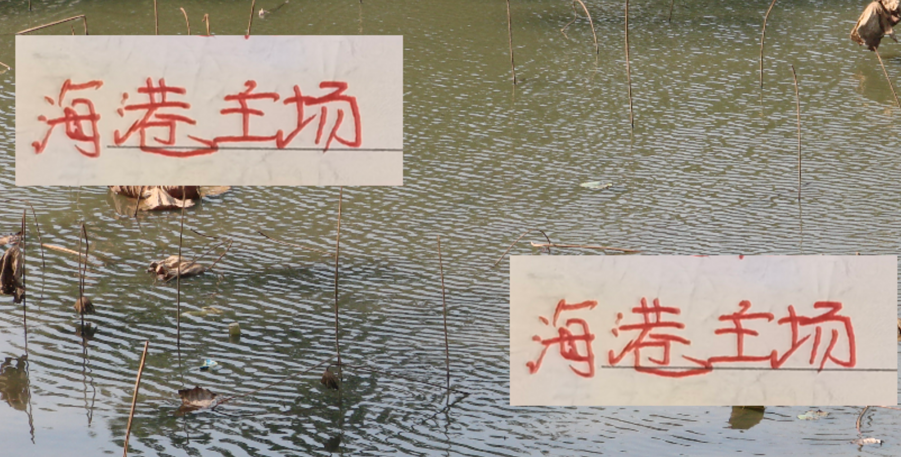 中超收官战：海港主场破3万创佳绩，白玉碗人气反超申花八万人