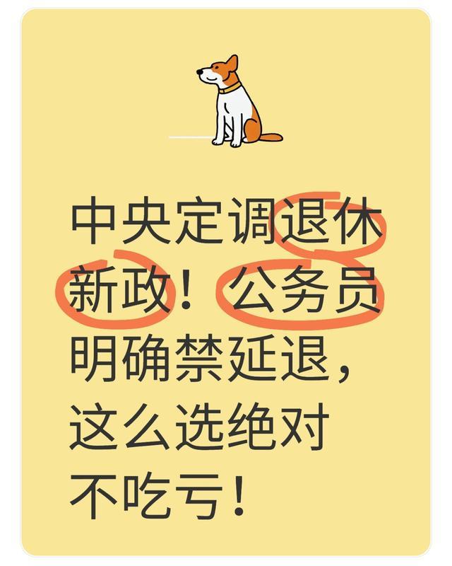 2025退休新政解读：公务员禁延退，如何选择最优退休方案？