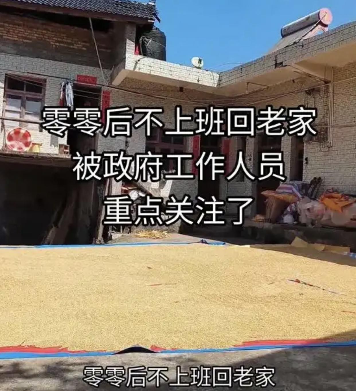 00后女生回村躺平6个月成焦点：村委关怀背后的就业帮扶困境