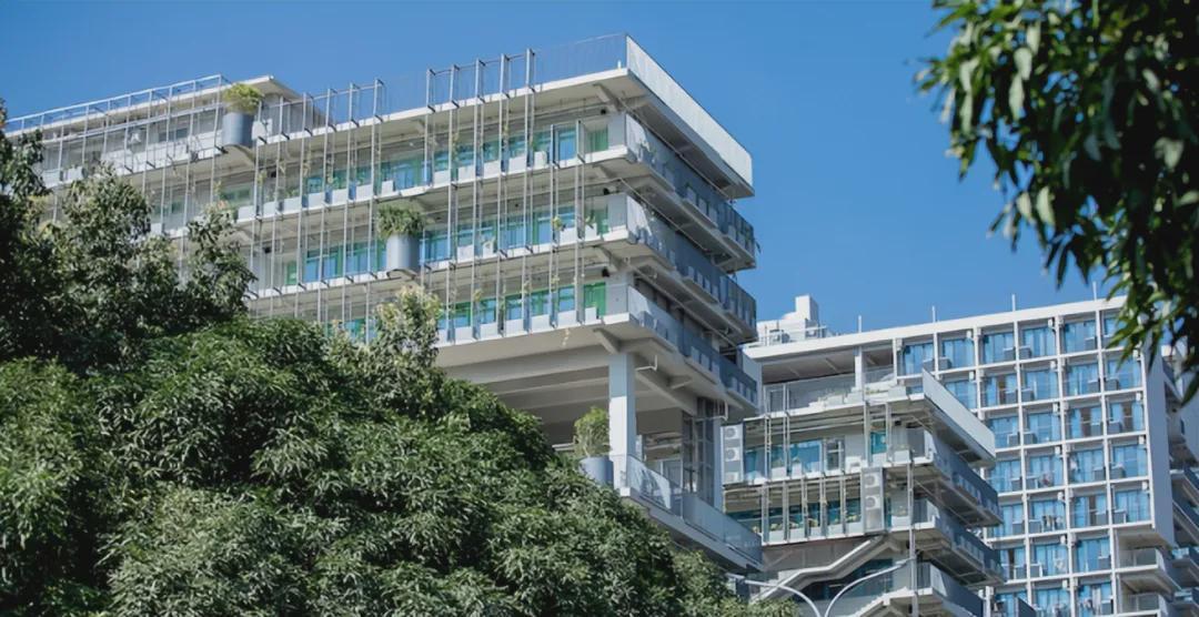 中产家庭困境：年耗30万学费的国际学校，为何成教育“雷区”？