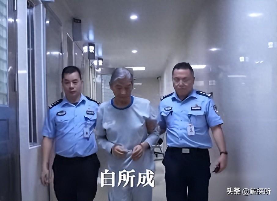 白所成被判死刑，其女白应兰潜逃何处？缅北电诈家族覆灭纪实