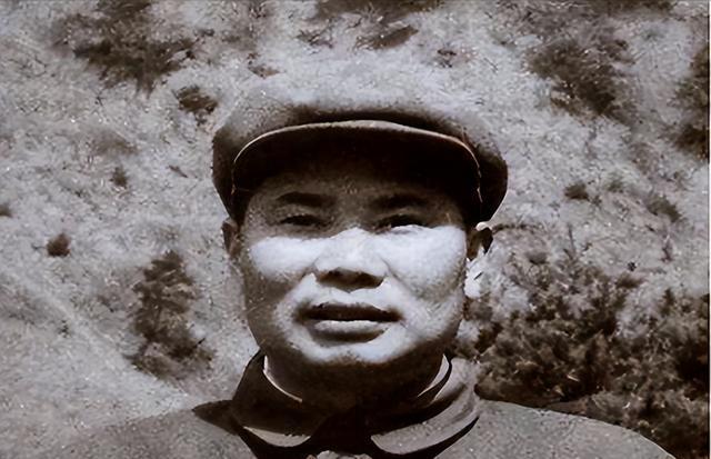 1979年越战败后黎笋提荒谬要求，杨得志果断回应：打！