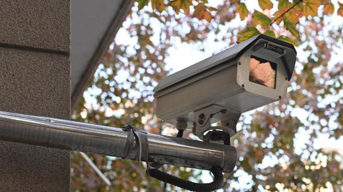 上海深夜荒地现诡异身影：揭秘赃款转移犯罪链条