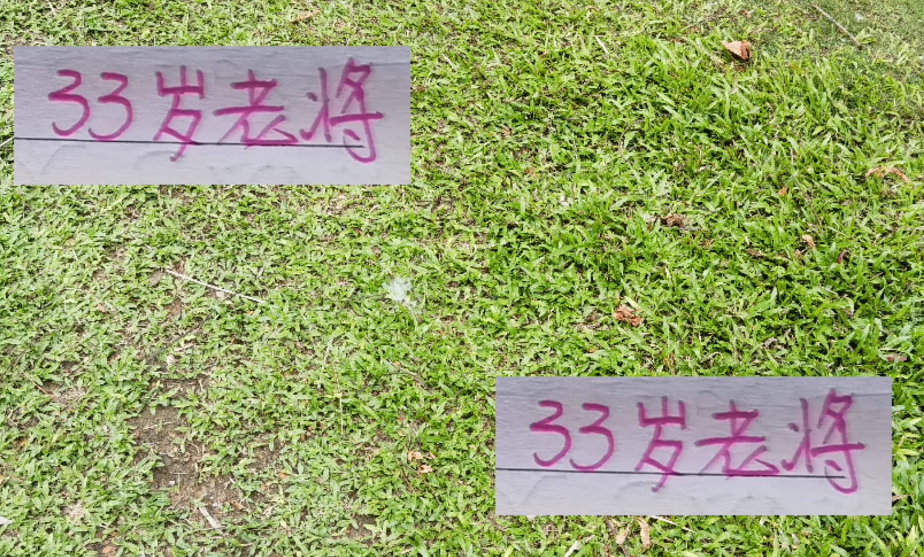 2025赛季中超前四球队33岁以上老将进球盘点：海港边卫、国安中场领衔