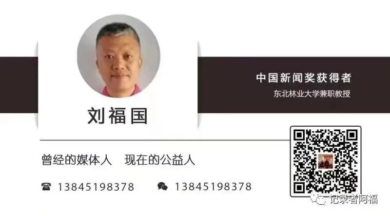 邵佳一执教国足：鲜花与石头的舆论博弈