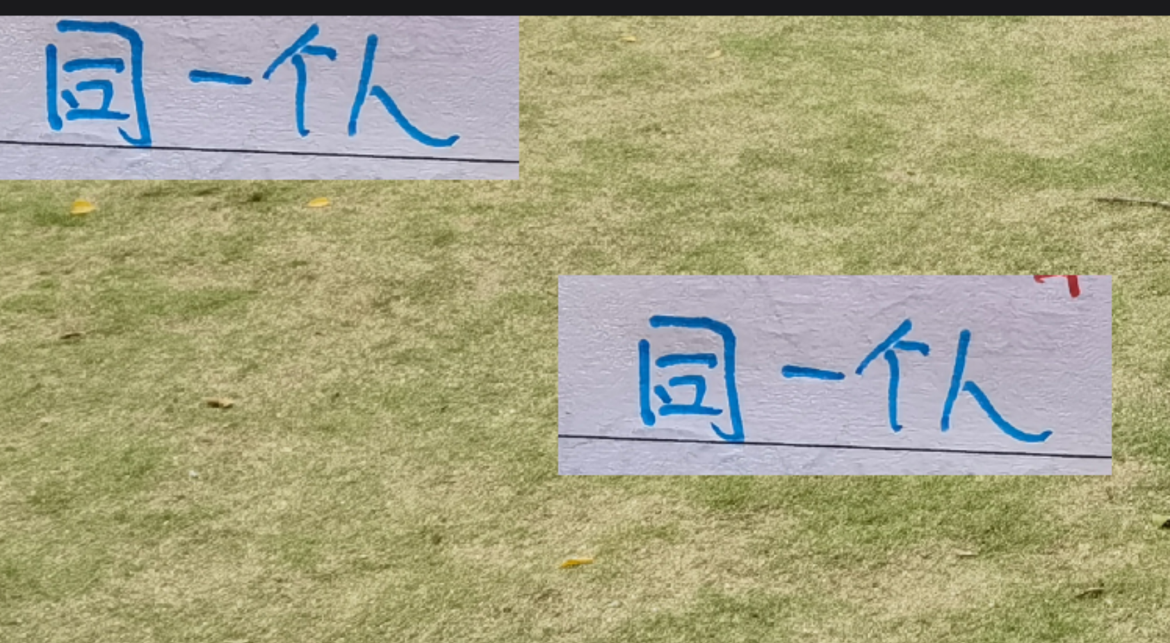 申花射手路易斯：去年与今年最佳射手或同为一人，表现惊艳引关注