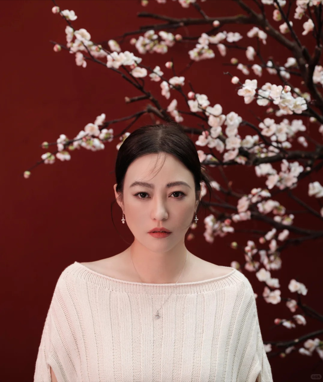 郝蕾疑似炮轰白百何，白百何高露恩怨再起，网友喊话退圈引热议